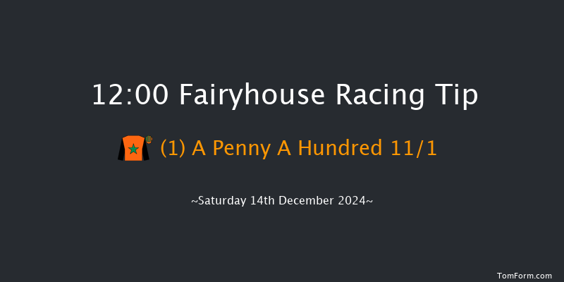 Fairyhouse  12:00 Maiden Chase 21f Sun 1st Dec 2024