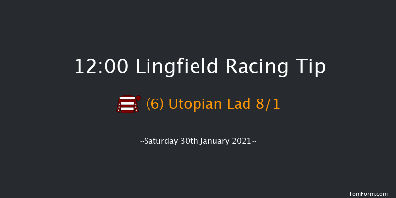 Heed Your Hunch At Betway Handicap Lingfield 12:00 Handicap (Class 6) 10f Fri 29th Jan 2021