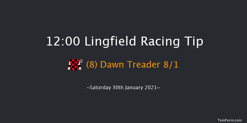 Heed Your Hunch At Betway Handicap Lingfield 12:00 Handicap (Class 6) 10f Fri 29th Jan 2021