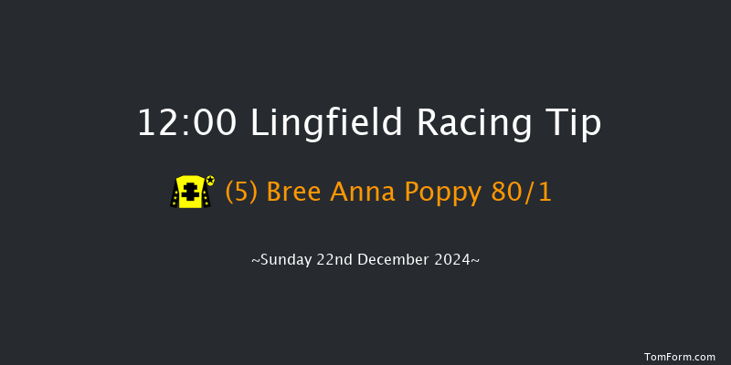 Lingfield  12:00 Stakes (Class 5) 6f Wed 18th Dec 2024