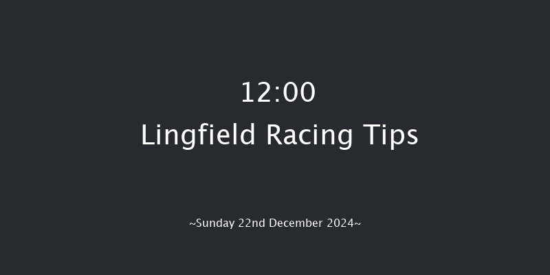 Lingfield  12:00 Stakes (Class 5) 6f Wed 18th Dec 2024