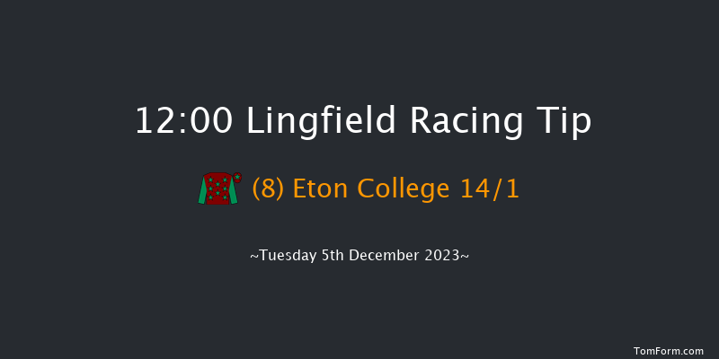 Lingfield 12:00 Handicap (Class 6) 8f Thu 30th Nov 2023