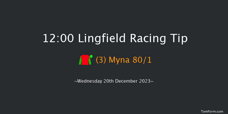 Lingfield 12:00 Stakes (Class 5) 8f Wed 13th Dec 2023