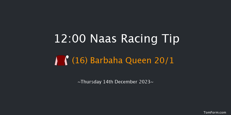 Naas 12:00 Handicap Chase 16f Sun 12th Nov 2023