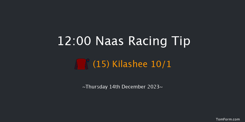 Naas 12:00 Handicap Chase 16f Sun 12th Nov 2023