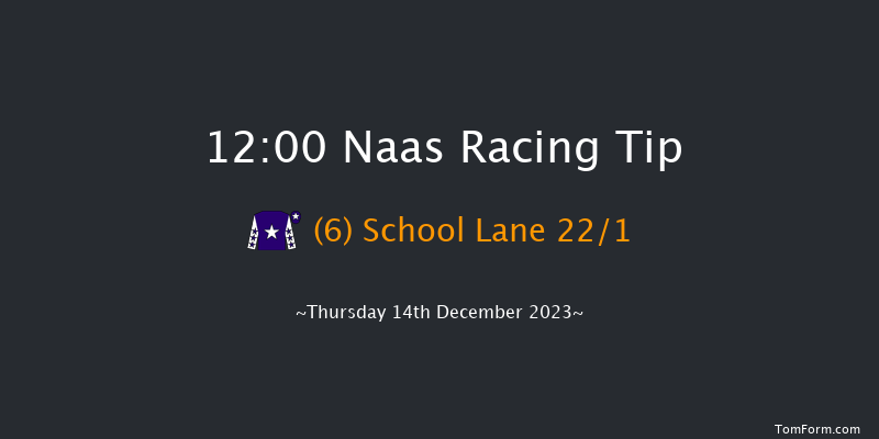 Naas 12:00 Handicap Chase 16f Sun 12th Nov 2023