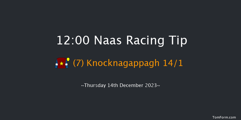 Naas 12:00 Handicap Chase 16f Sun 12th Nov 2023