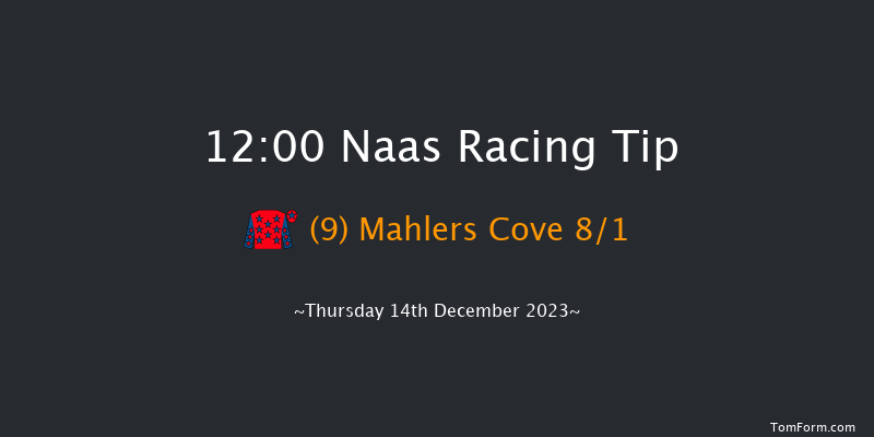 Naas 12:00 Handicap Chase 16f Sun 12th Nov 2023