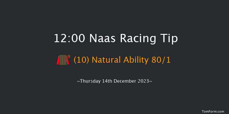 Naas 12:00 Handicap Chase 16f Sun 12th Nov 2023