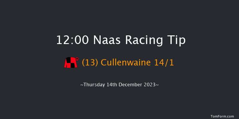 Naas 12:00 Handicap Chase 16f Sun 12th Nov 2023