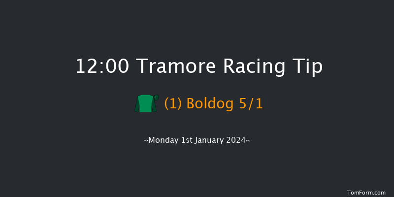 Tramore 12:00 Maiden Hurdle 17f Tue 28th Nov 2023