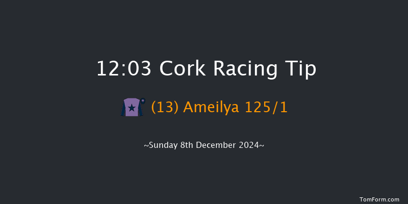 Cork  12:03 Maiden Hurdle 16f Sun 24th Nov 2024