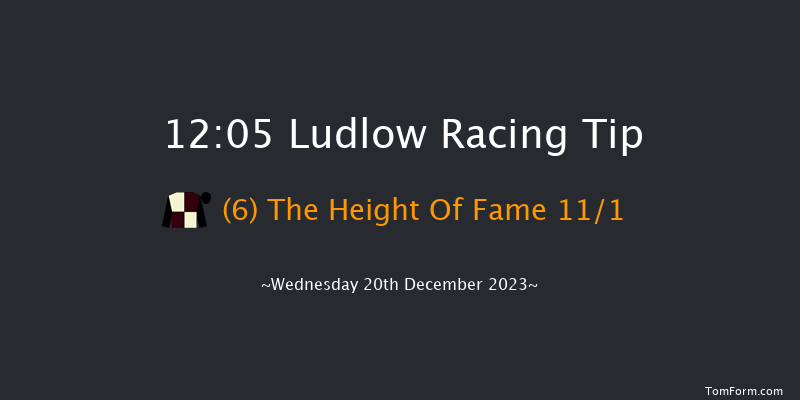 Ludlow 12:05 Handicap Hurdle (Class 4) 21f Wed 6th Dec 2023