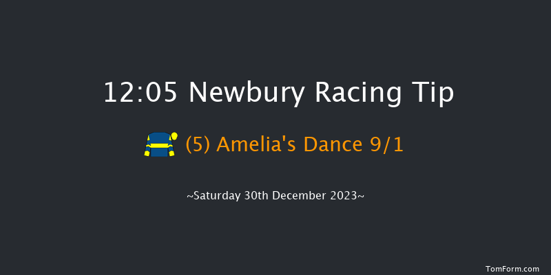 Newbury 12:05 Handicap Hurdle (Class 3) 16f Wed 20th Dec 2023