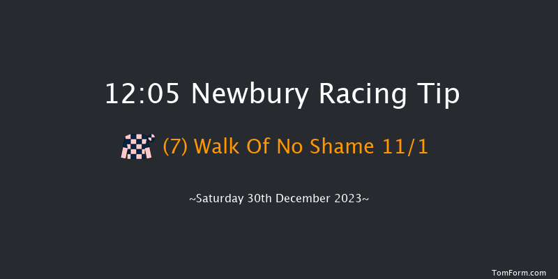 Newbury 12:05 Handicap Hurdle (Class 3) 16f Wed 20th Dec 2023