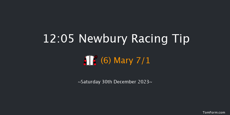 Newbury 12:05 Handicap Hurdle (Class 3) 16f Wed 20th Dec 2023