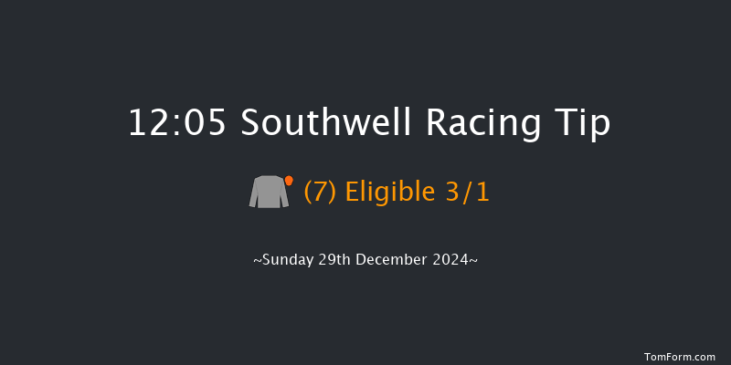 Southwell  12:05 Handicap (Class 4) 8f Sat 28th Dec 2024