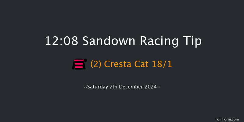 Sandown  12:08 Maiden Hurdle (Class 1) 16f Fri 6th Dec 2024