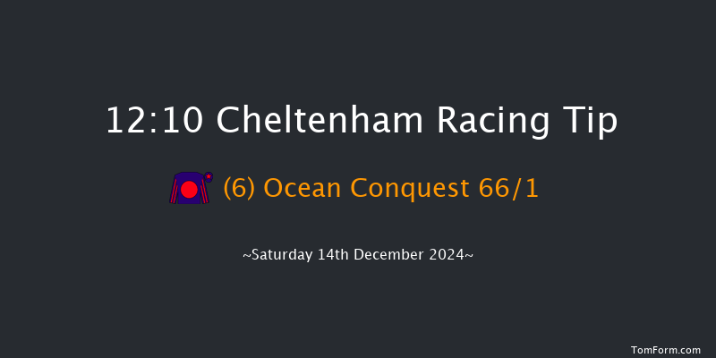 Cheltenham  12:10 Conditions Hurdle (Class 2) 17f Fri 13th Dec 2024