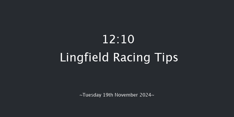 Lingfield  12:10 Handicap (Class 6) 13f Wed 13th Nov 2024