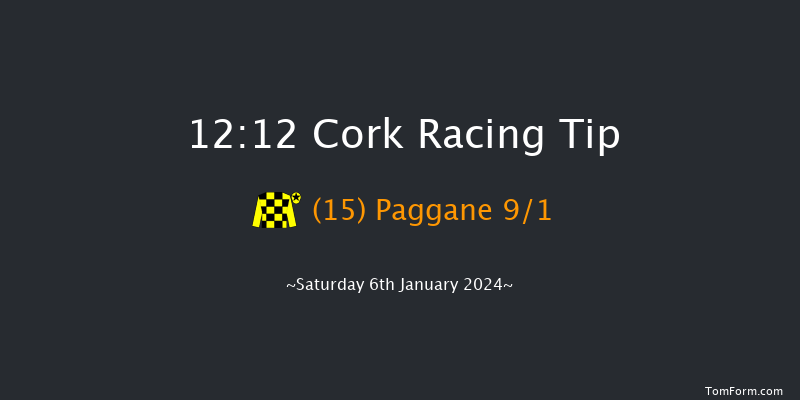 Cork 12:12 Maiden Hurdle 16f Sun 10th Dec 2023