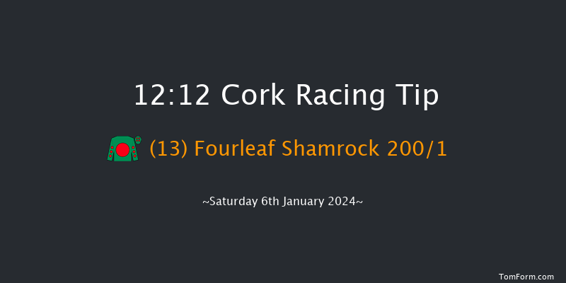 Cork 12:12 Maiden Hurdle 16f Sun 10th Dec 2023