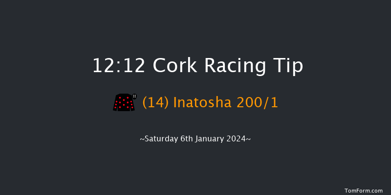 Cork 12:12 Maiden Hurdle 16f Sun 10th Dec 2023