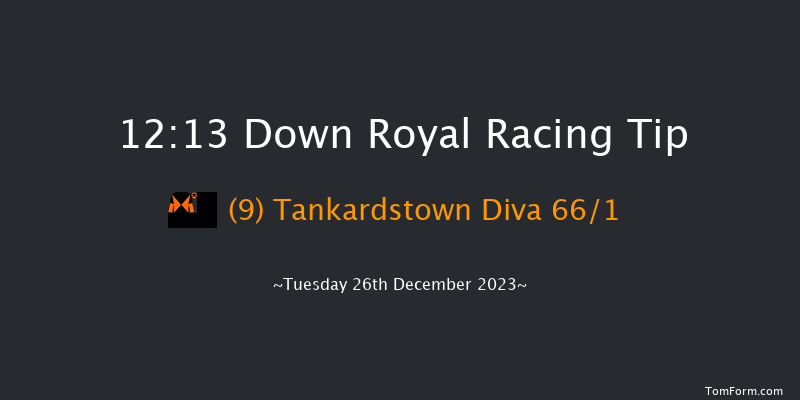 Down Royal 12:13 Maiden Hurdle 17f Sat 11th Nov 2023