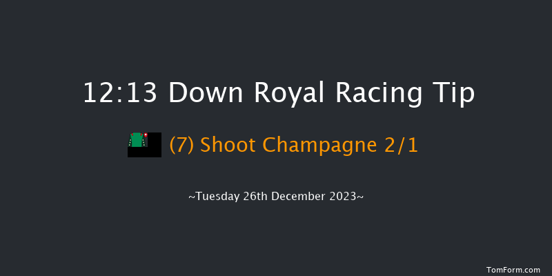 Down Royal 12:13 Maiden Hurdle 17f Sat 11th Nov 2023