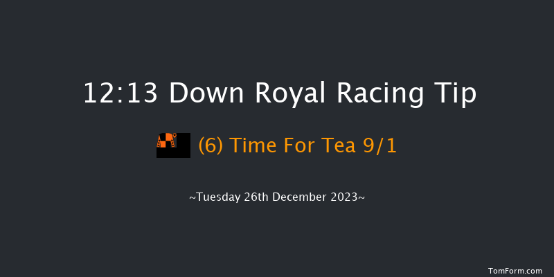 Down Royal 12:13 Maiden Hurdle 17f Sat 11th Nov 2023