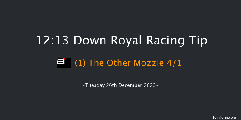 Down Royal 12:13 Maiden Hurdle 17f Sat 11th Nov 2023