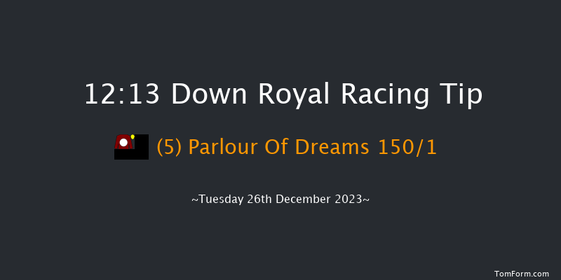 Down Royal 12:13 Maiden Hurdle 17f Sat 11th Nov 2023