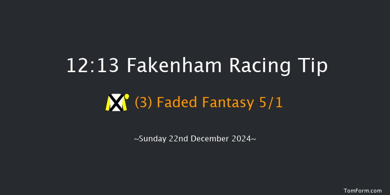 Fakenham  12:13 Handicap Hurdle (Class 5) 23f Tue 19th Nov 2024