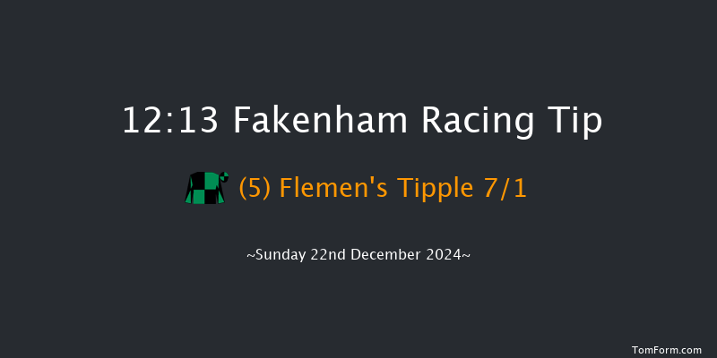 Fakenham  12:13 Handicap Hurdle (Class 5) 23f Tue 19th Nov 2024