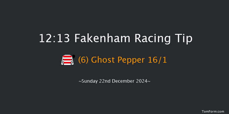 Fakenham  12:13 Handicap Hurdle (Class 5) 23f Tue 19th Nov 2024