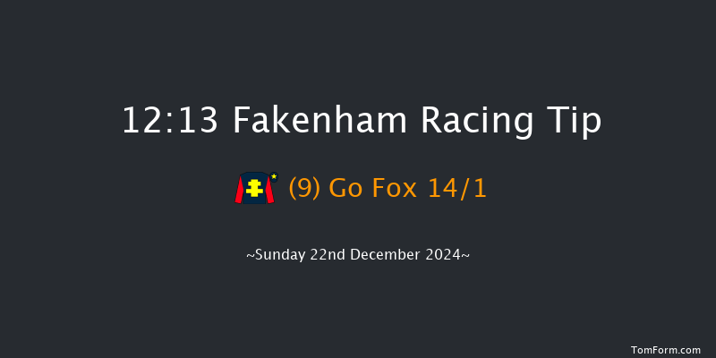 Fakenham  12:13 Handicap Hurdle (Class 5) 23f Tue 19th Nov 2024