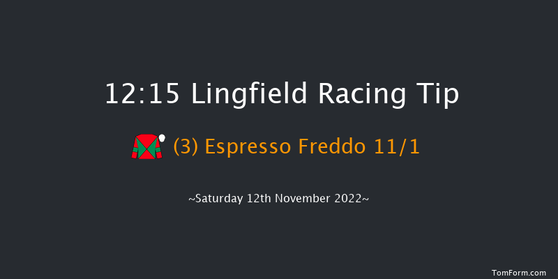 Lingfield 12:15 Handicap (Class 6) 8f Tue 8th Nov 2022