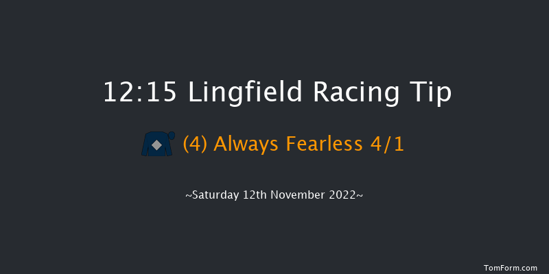 Lingfield 12:15 Handicap (Class 6) 8f Tue 8th Nov 2022