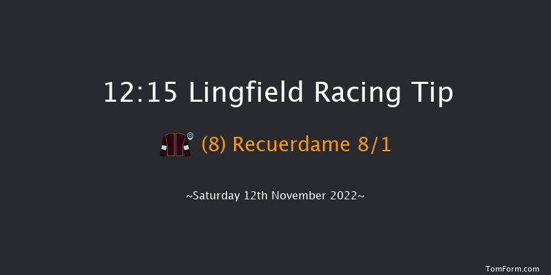 Lingfield 12:15 Handicap (Class 6) 8f Tue 8th Nov 2022