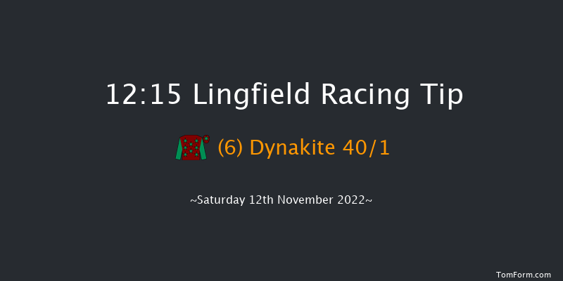 Lingfield 12:15 Handicap (Class 6) 8f Tue 8th Nov 2022