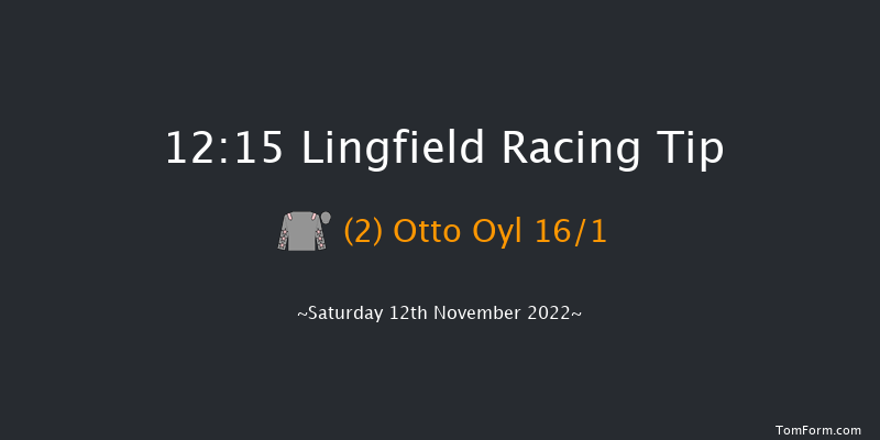 Lingfield 12:15 Handicap (Class 6) 8f Tue 8th Nov 2022