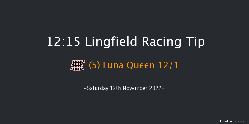 Lingfield 12:15 Handicap (Class 6) 8f Tue 8th Nov 2022