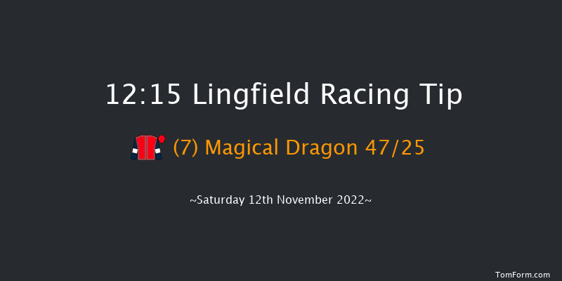 Lingfield 12:15 Handicap (Class 6) 8f Tue 8th Nov 2022