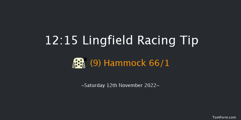 Lingfield 12:15 Handicap (Class 6) 8f Tue 8th Nov 2022