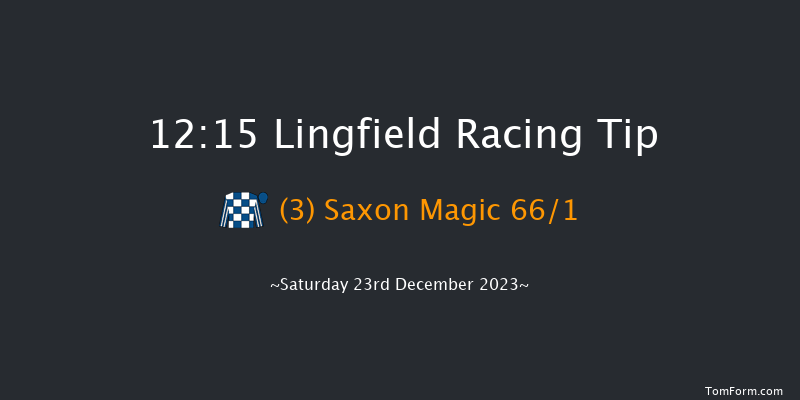 Lingfield 12:15 Stakes (Class 5) 7f Wed 20th Dec 2023