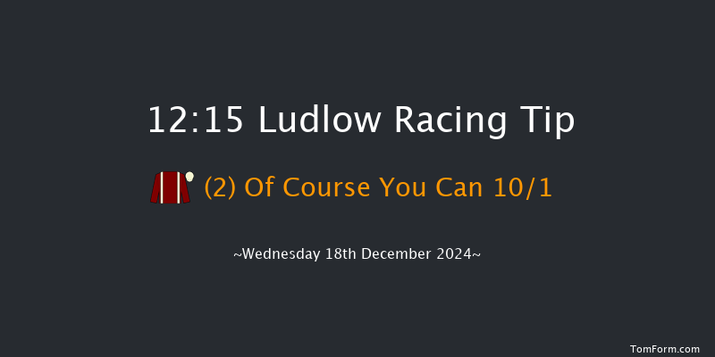 Ludlow  12:15 Maiden Hurdle (Class 4) 21f Wed 4th Dec 2024