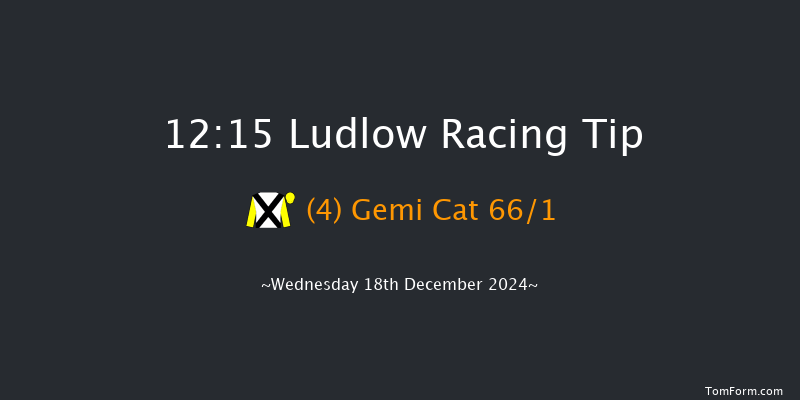 Ludlow  12:15 Maiden Hurdle (Class 4) 21f Wed 4th Dec 2024