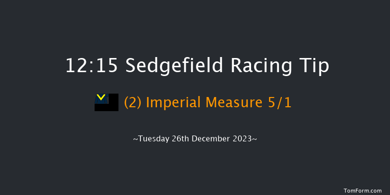 Sedgefield 12:15 Handicap Hurdle (Class 5) 20f Fri 8th Dec 2023