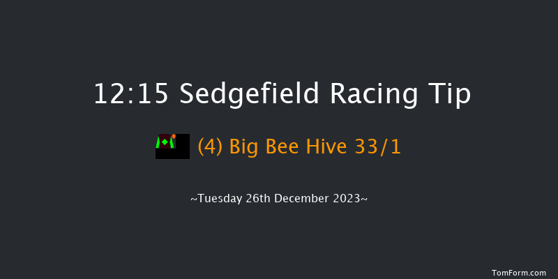 Sedgefield 12:15 Handicap Hurdle (Class 5) 20f Fri 8th Dec 2023