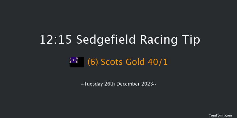 Sedgefield 12:15 Handicap Hurdle (Class 5) 20f Fri 8th Dec 2023